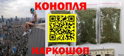 индика Ижевск