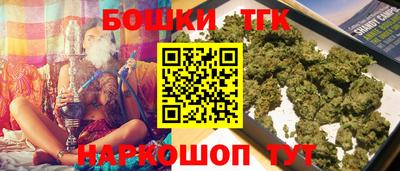 индика Ижевск