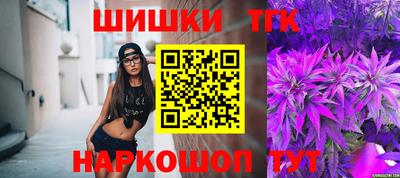 индика Ижевск