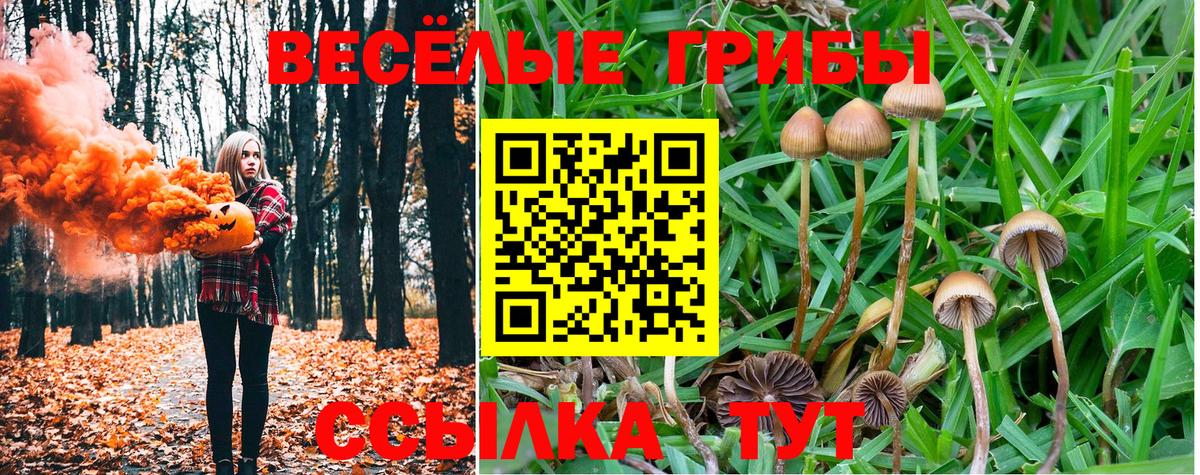 Топки  Псилоцибиновые грибы мухоморы  Вход с VPN 